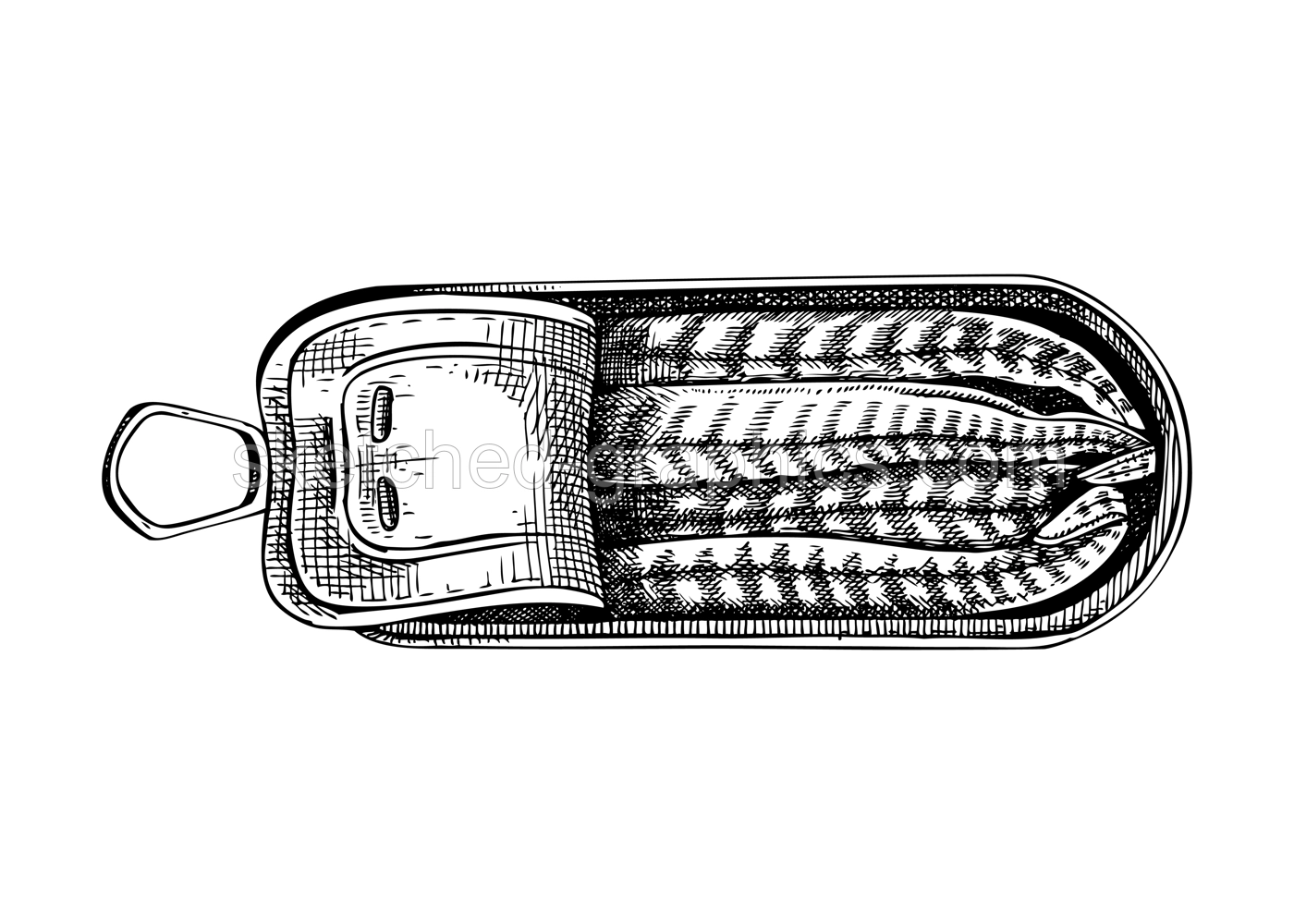 Hand drawn canned fish illustration. Anchovies vector drawing isolated on white background. Tinned anchovy food sketch. Opened tin can with seafood for restaurant menu or product design Illustration